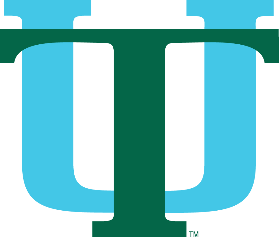 Tulane Green Wave 1976-1984 Secondary Logo iron on transfers for T-shirts